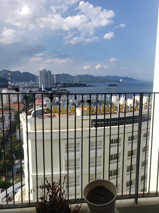 4312214 ảnh đại diện 1