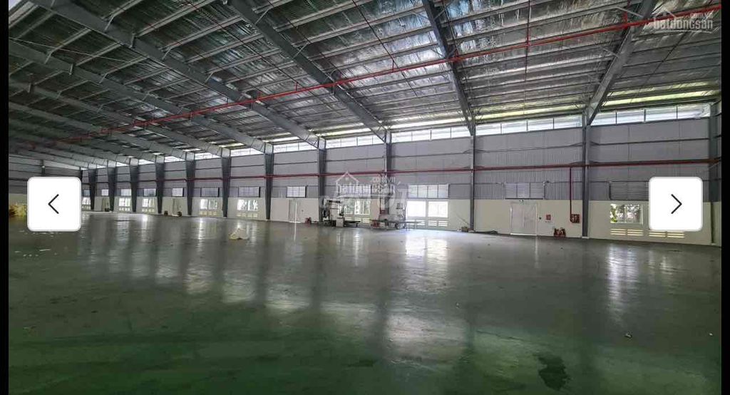 4311151 ảnh đại diện 1