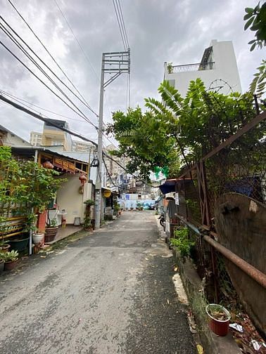 4312495 ảnh đại diện 1