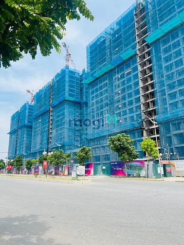 4312124 ảnh đại diện 2