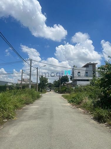 4311838 ảnh đại diện 2
