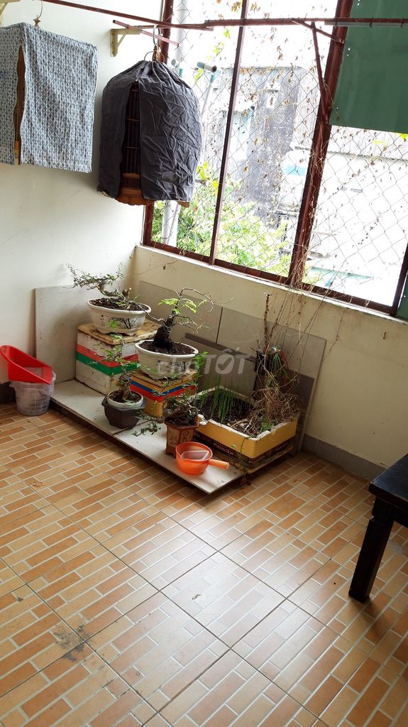 4312620 ảnh đại diện 1