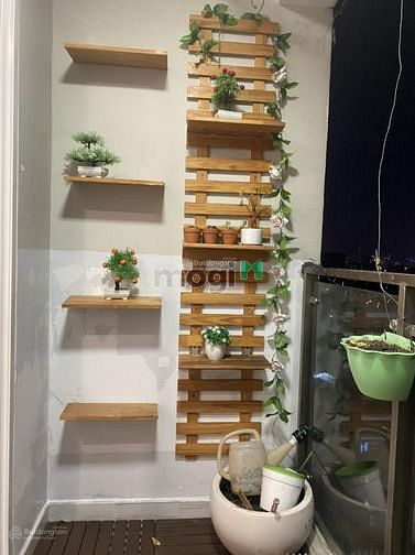 4311869 ảnh đại diện 1