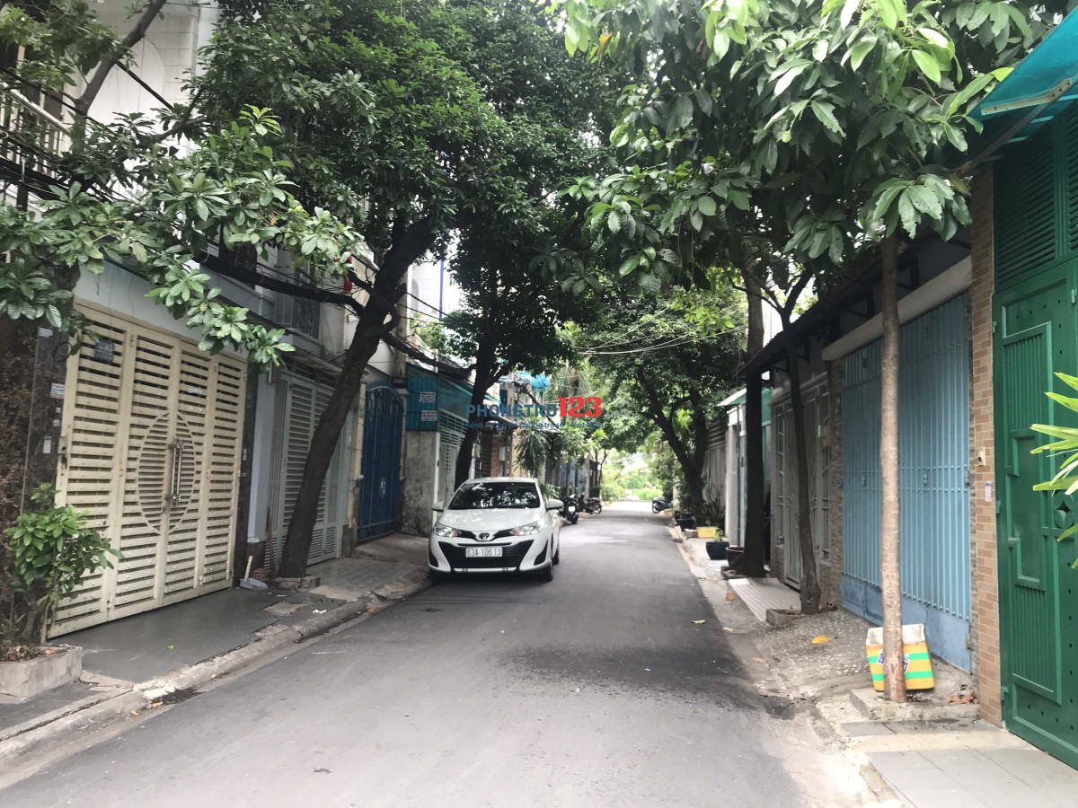 4312718 ảnh đại diện 1