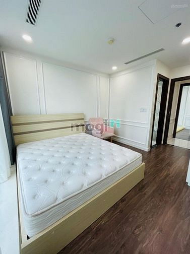 4311869 ảnh đại diện 2