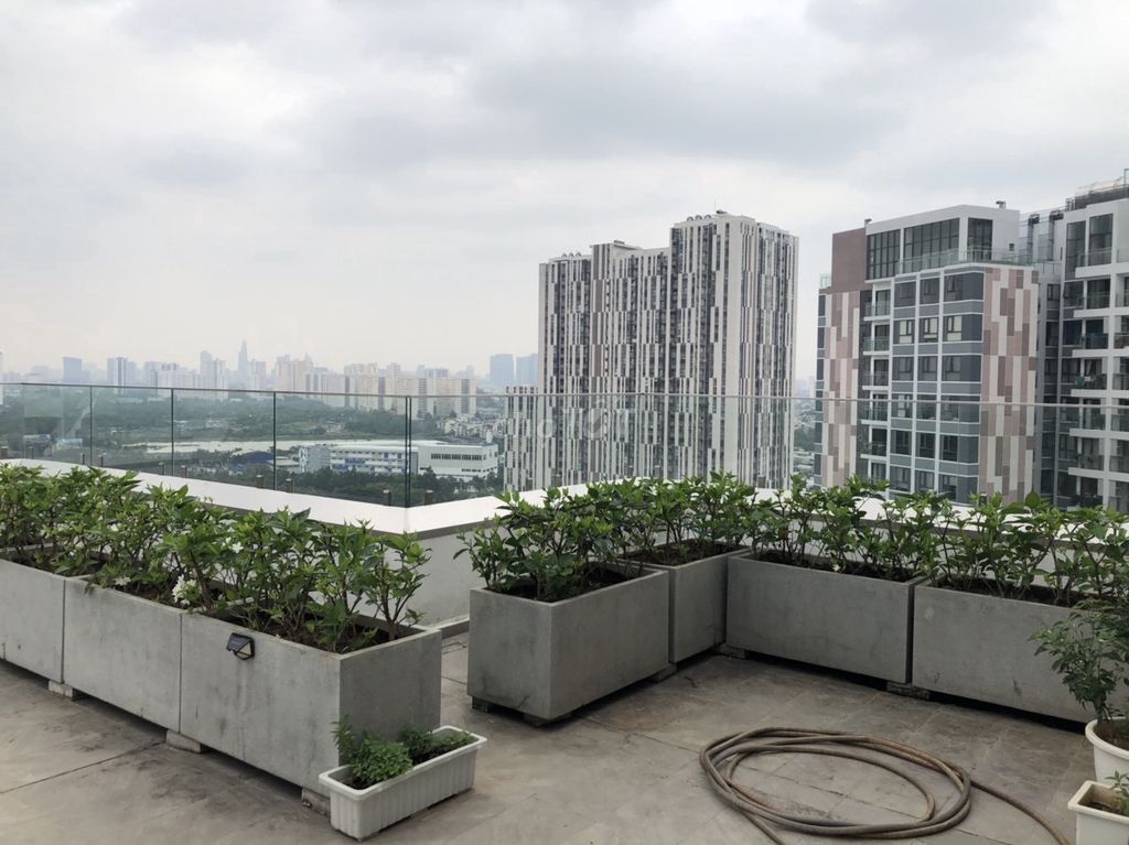 4312548 ảnh đại diện 1