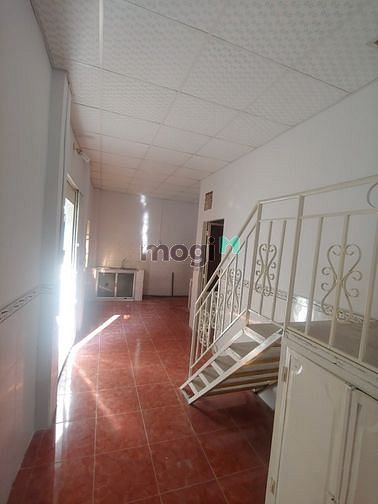 4311462 ảnh đại diện 1