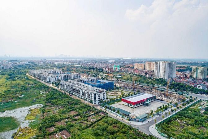 4312121 ảnh đại diện 2
