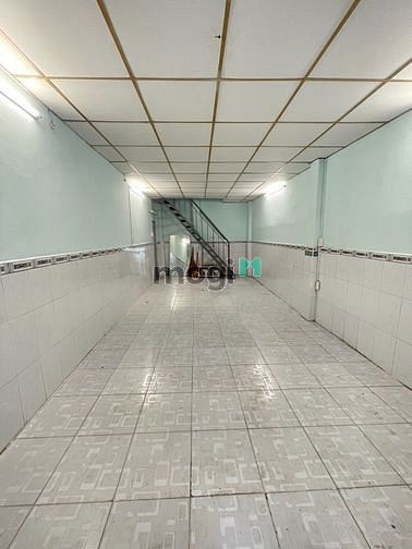 4312685 ảnh đại diện 1