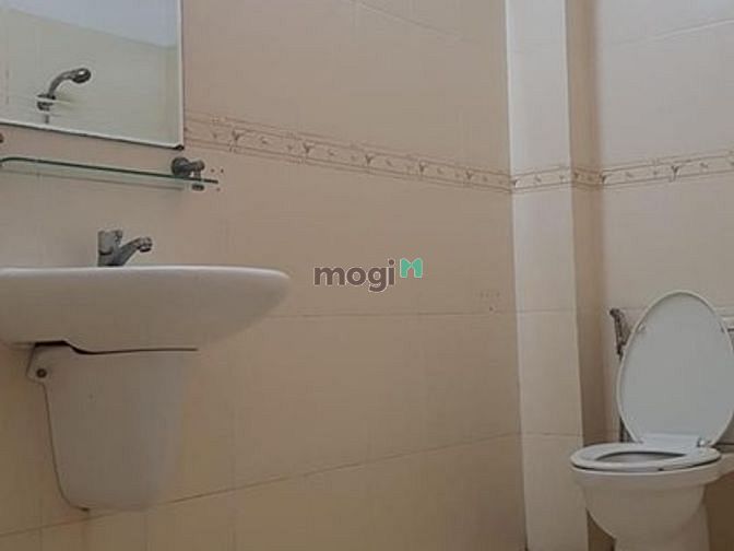 4311237 ảnh đại diện 2