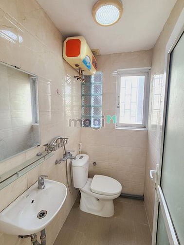 4312367 ảnh đại diện 2