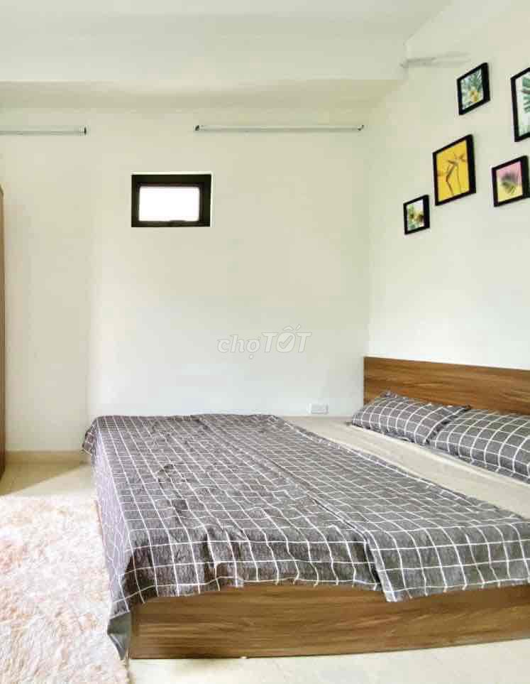4311932 ảnh đại diện 1