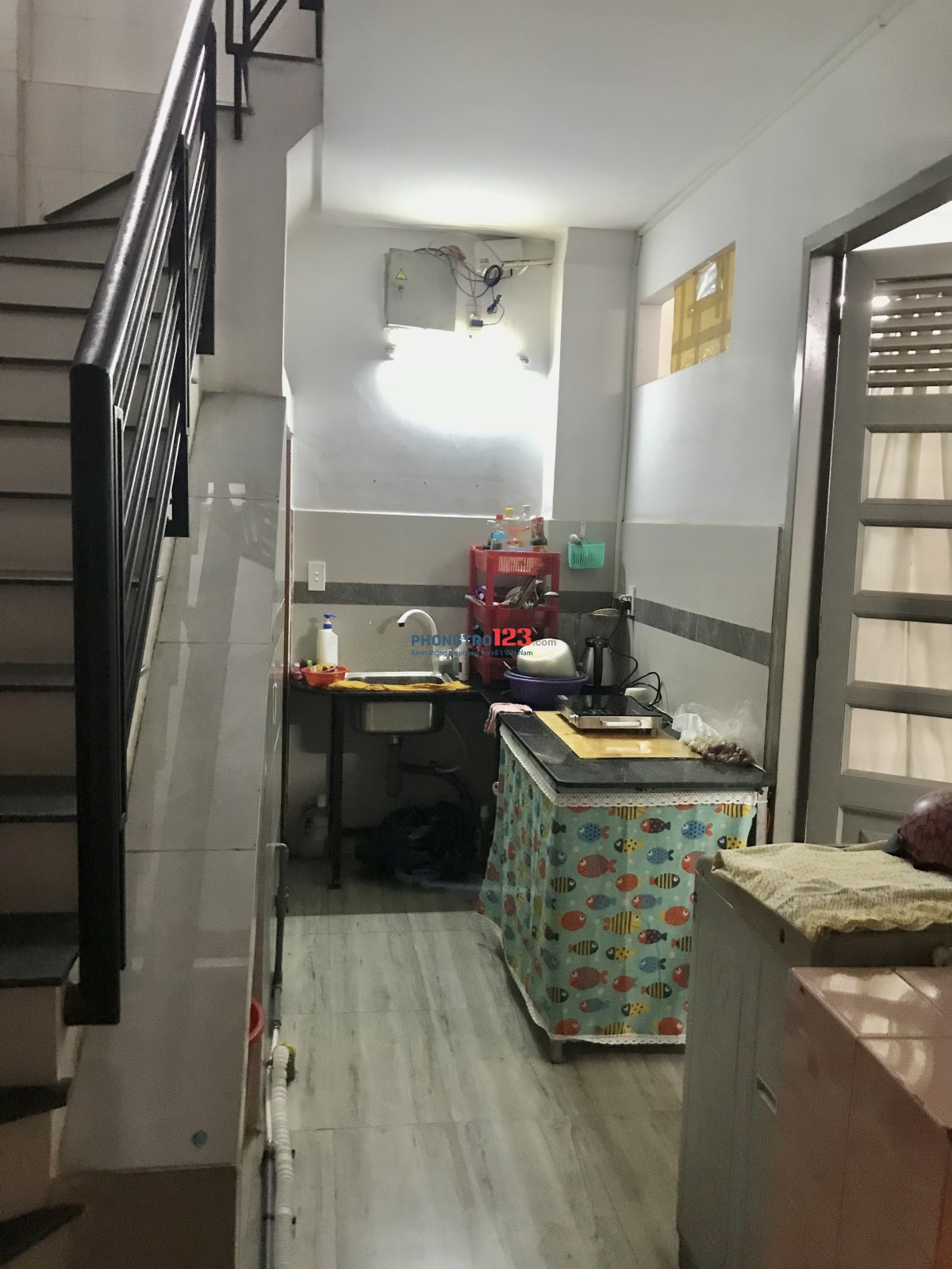 4312701 ảnh đại diện 2