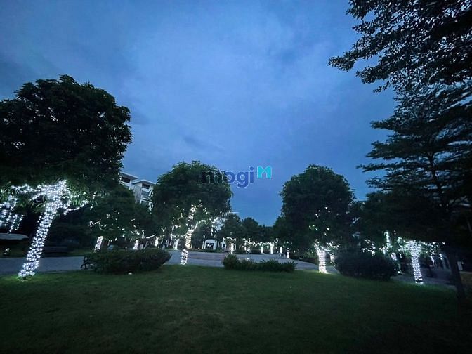 4312116 ảnh đại diện 2