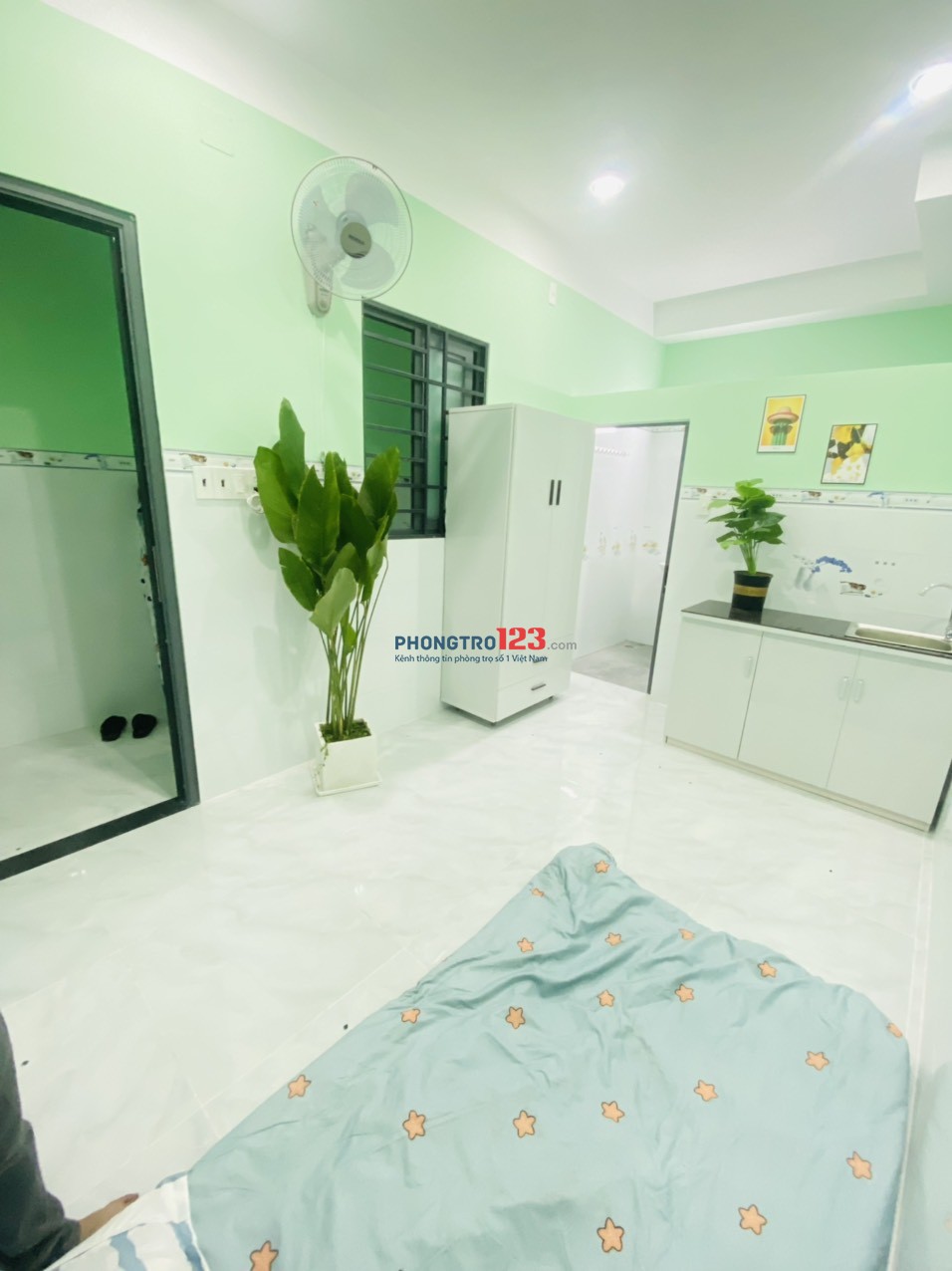 4312831 ảnh đại diện 2