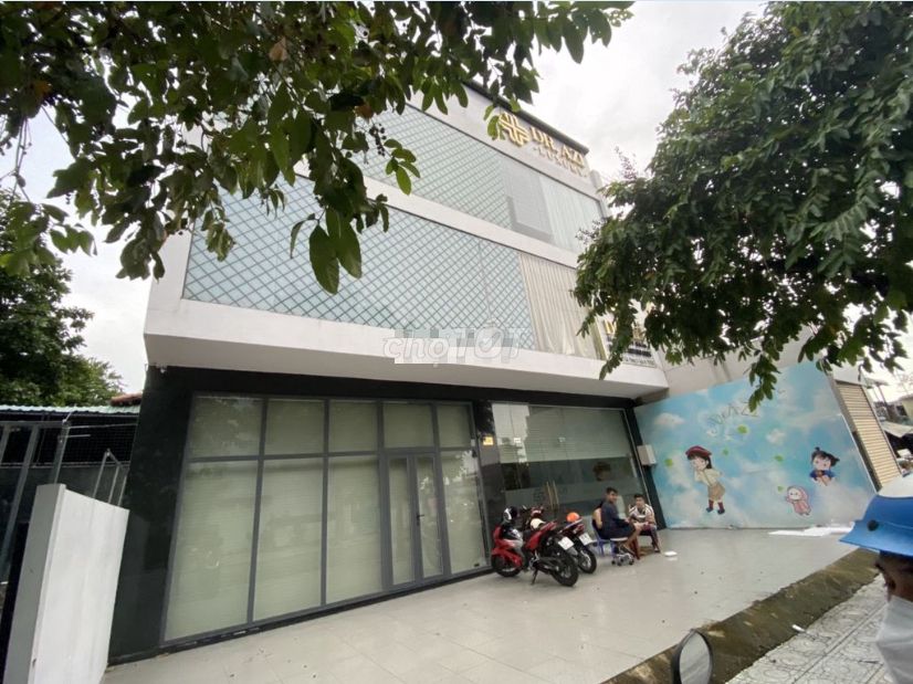 4311715 ảnh đại diện 2