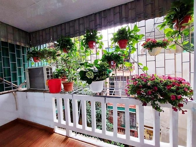 4313862 ảnh đại diện 1