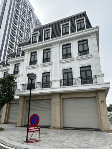4313617 ảnh đại diện 1
