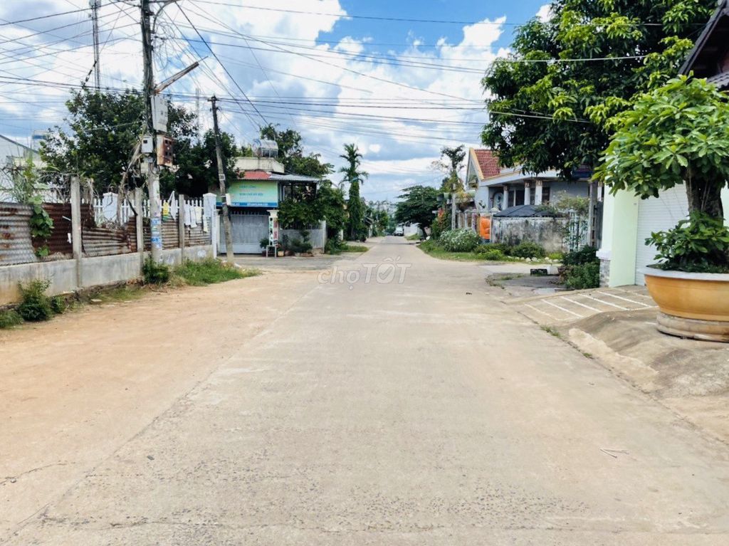 4313654 ảnh đại diện 2