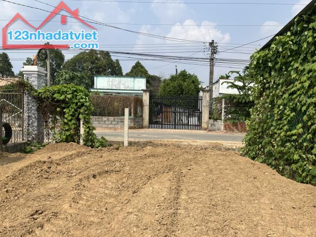 4313067 ảnh đại diện 1