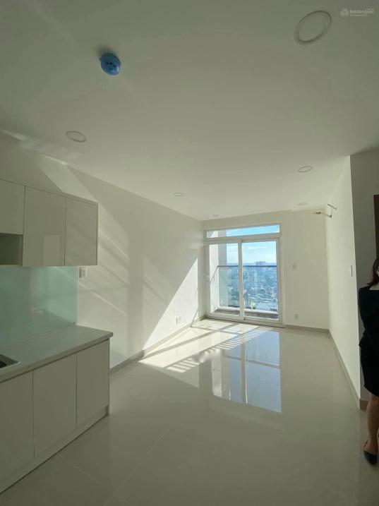 4315573 ảnh đại diện 2