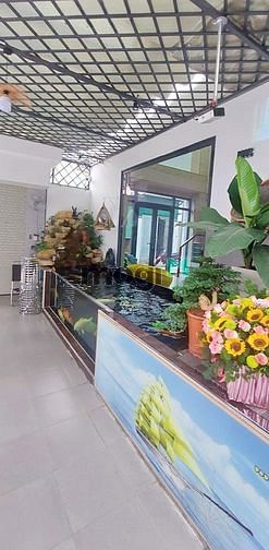 4313607 ảnh đại diện 2