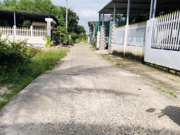 4313975 ảnh đại diện 1