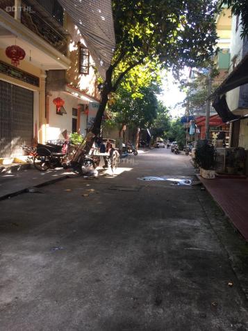 4313232 ảnh đại diện 1