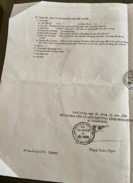4315303 ảnh đại diện 2
