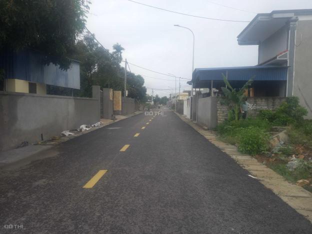 4315434 ảnh đại diện 2