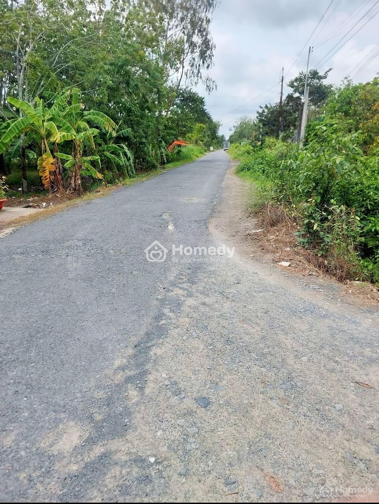 4315336 ảnh đại diện 1