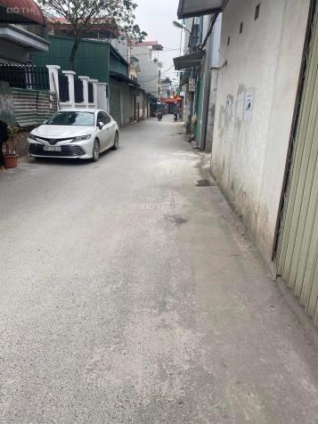 4313965 ảnh đại diện 1