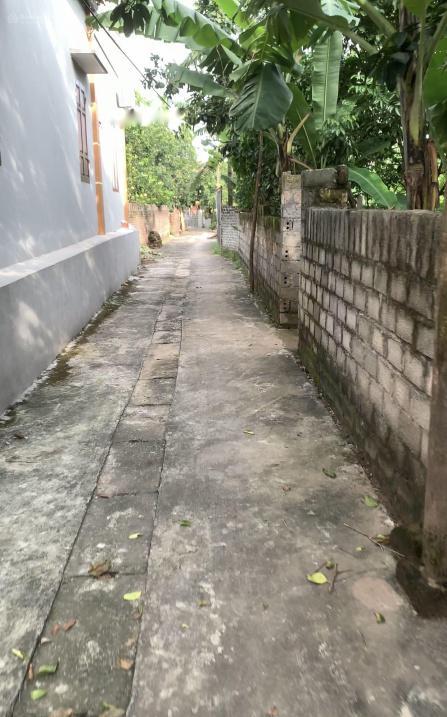 4313944 ảnh đại diện 1