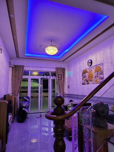 4313602 ảnh đại diện 1