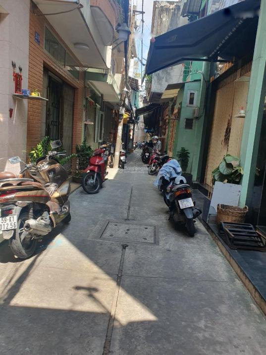 4313397 ảnh đại diện 1