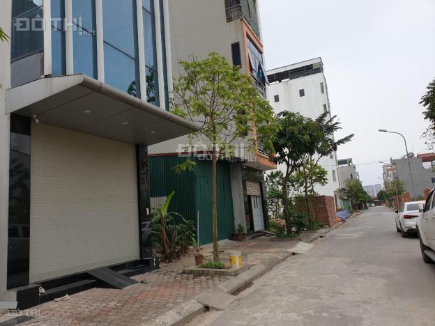4313983 ảnh đại diện 1
