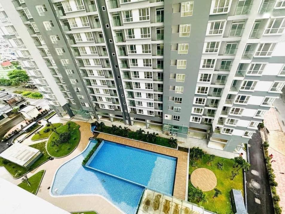 4315572 ảnh đại diện 1
