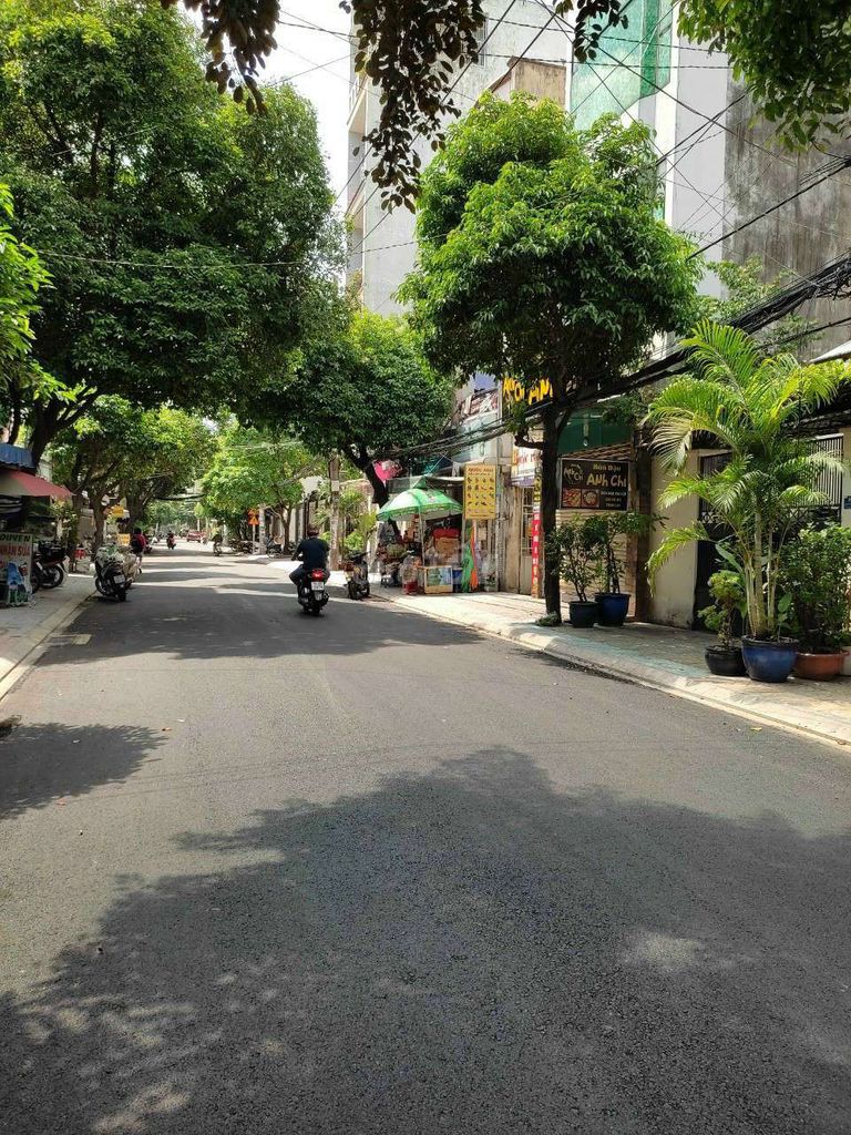 4315145 ảnh đại diện 1