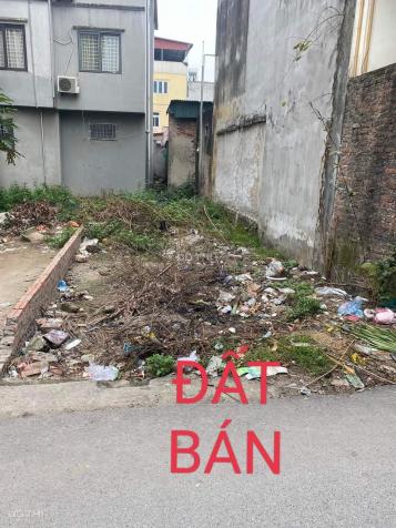 4313965 ảnh đại diện 2