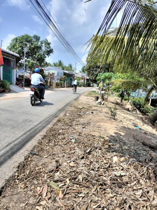 4313333 ảnh đại diện 1