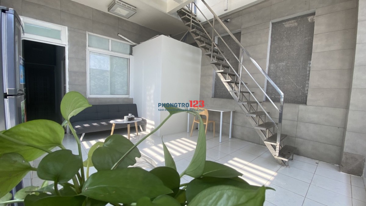 4313808 ảnh đại diện 1