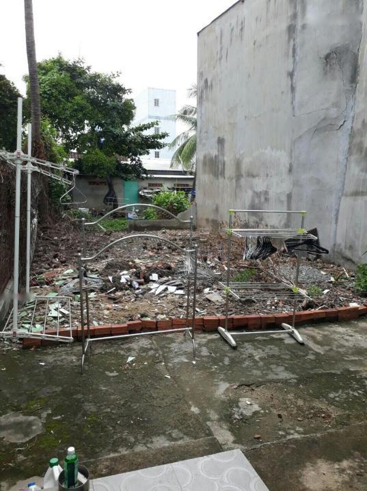 4314220 ảnh đại diện 2