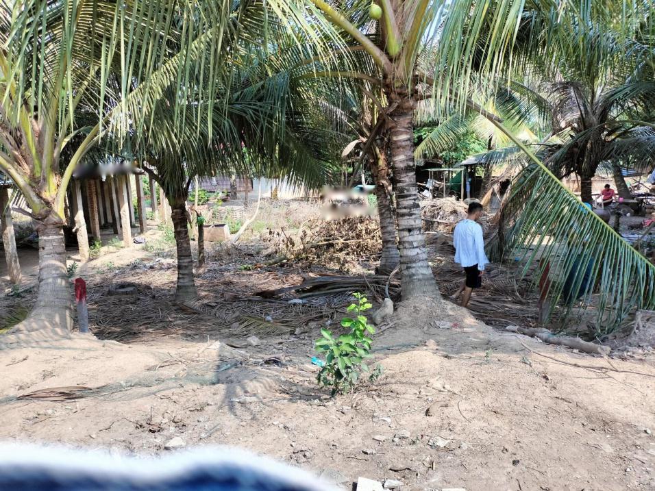 4313333 ảnh đại diện 2