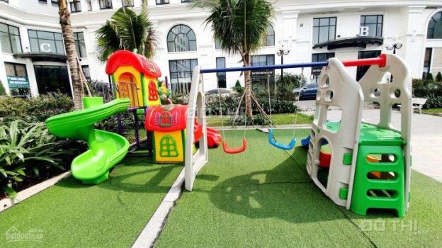 4313413 ảnh đại diện 1