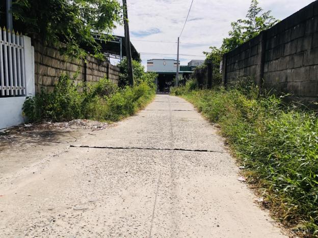 4313975 ảnh đại diện 1