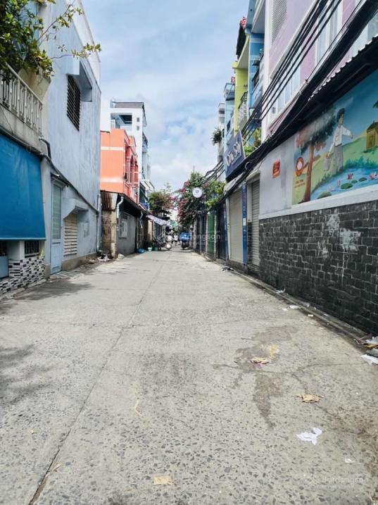 4314221 ảnh đại diện 1