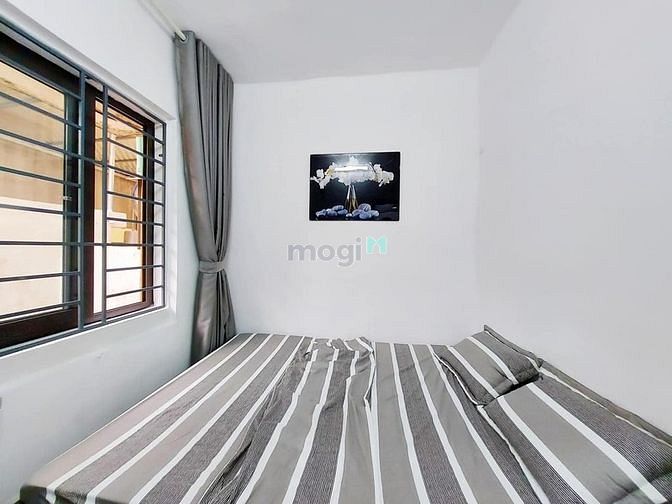 4313862 ảnh đại diện 2