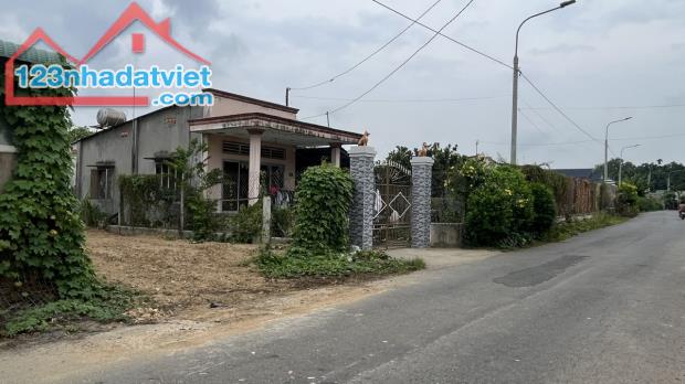 4313067 ảnh đại diện 1
