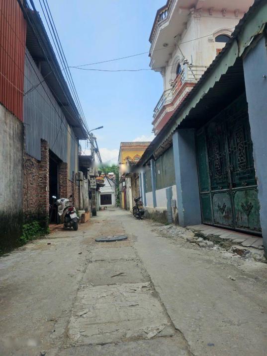 4314614 ảnh đại diện 1