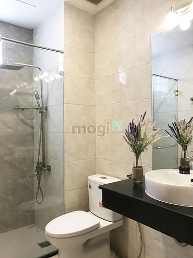 4314701 ảnh đại diện 2